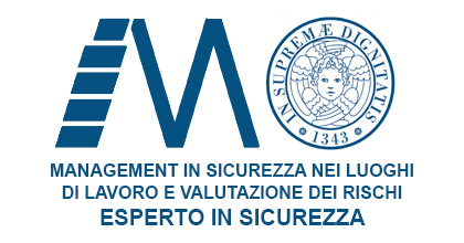 Management in sicurezza nei luoghi di lavoro e valutazine dei rischi - Esperto in sicurezza